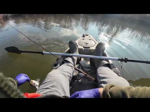 Видео: В търсене на рибата по река Марица.