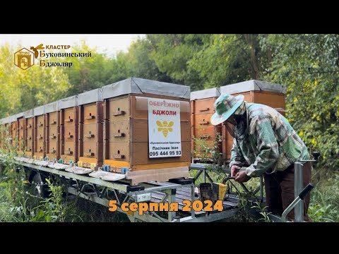 Видео: Пасіка на колесах 2024.