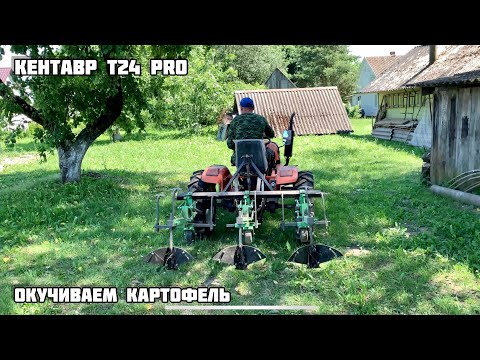 Видео: Кентавр т24 про окучивание картофеля , окучниками kerland ok-300