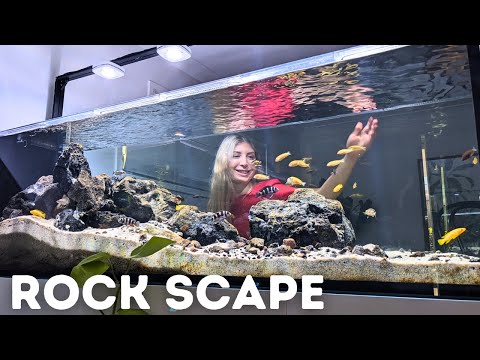 Видео: Создание акваскейпа с африканскими цихлидами и камнями