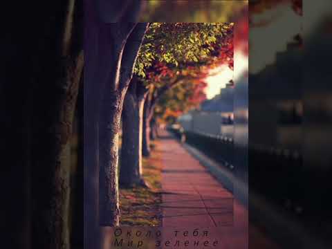 Видео: Ёлка – Около тебя ( slowed + reverb )