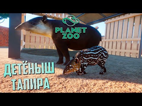 Видео: Очень Дорогие ТАПИРЫ - PLANET ZOO Франшиза #4