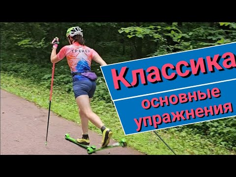 Видео: Основы классики #лыжероллеры