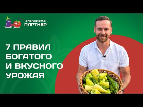 Видео: 7 ПРАВИЛ БОГАТОГО И ВКУСНОГО УРОЖАЯ