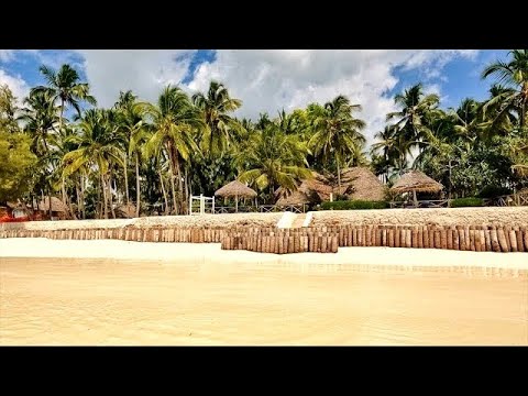 Видео: 🌴ZANZIBAR🌴 ОБЩЕНИЕ С МЕСТНЫМИ, ЕДА🦀🥥  ОКЕАН🤿🌊  ЖИВОТНЫЕ🐟🦎  РАСТЕНИЯ🍍🍌🥭  РАЗВЛЕЧЕНИЯ🏄🏝️