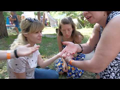 Видео: Поговорим о хиромантии.