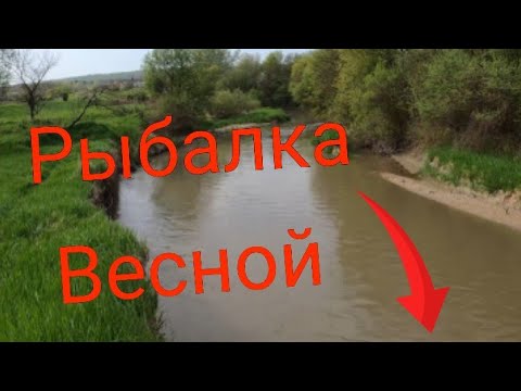 Видео: ПОПАЛИ НА ЖОР УСАЧА! РЕКА РАДУЕТ.РЫБАЛКА 2022 ВЕСНОЙ!!!