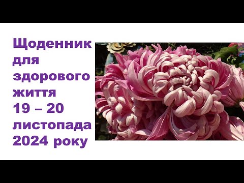 Видео: Щоденник важливих справ на городі, в садочку, на квітнику, для здоров'я 19-20 листопада 2024 року