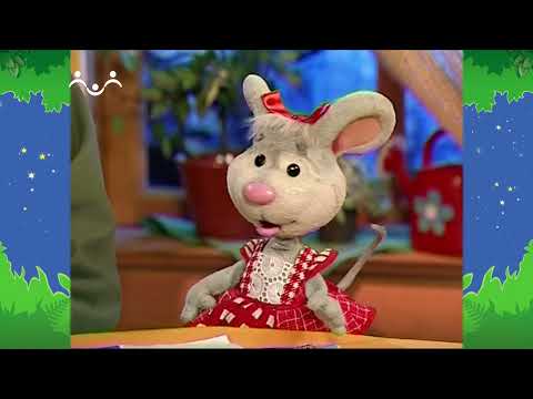 Видео: Вечер в Шигкином Лесу. Зоология. Кто как спит