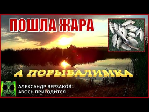 Видео: А порыбалимка 10/22г. Пошла жара.