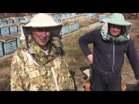 Видео: За пчелами!!! К Анисимову В.А.  Ч-1