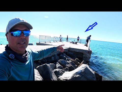 Видео: Этот крошечный пирс горел! (Рыбалка в заливе Тампа, Флорида)