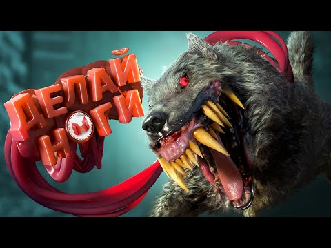 Видео: Это что за порода? (Хорошие игры #30)