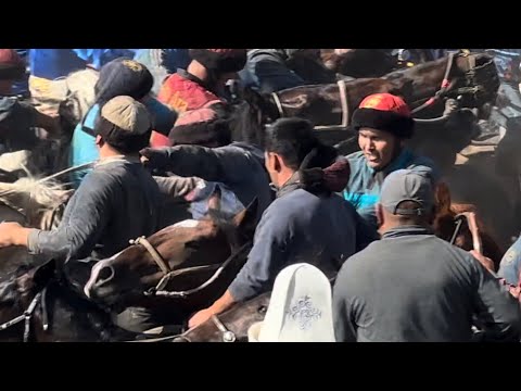Видео: Ноокен торпок улак