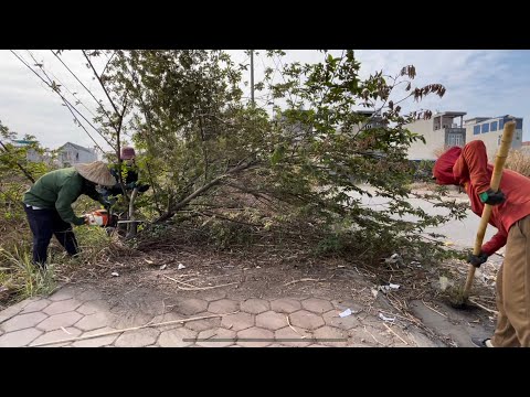 Видео: Магическое преображение грязных тротуаров простыми инструментами – Невероятная уборка.