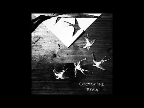 Видео: Состояние Птиц - VIII (instrumental) для пения в магазине 44