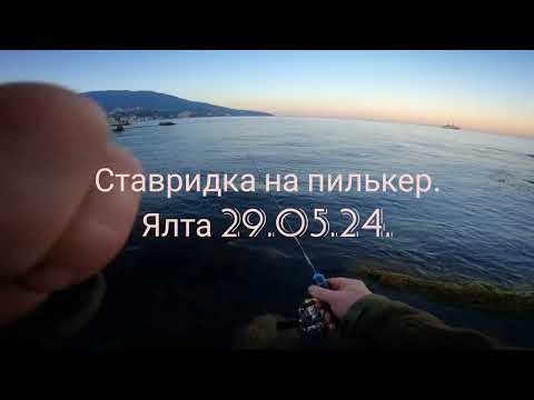 Видео: Ловля ставриды на пилькер. Рыбалка в Ялте в конце мая.