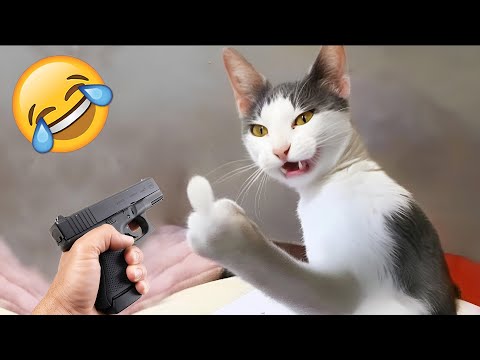 Видео: Самые смешные животные, которые рассмешили всех! 😂🎉