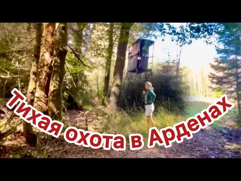 Видео: Попали на начало грибного сезона, едем в Ардены.