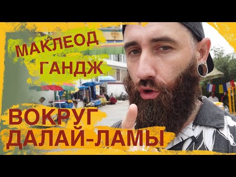 Видео: Гималаи. Дхарамсала. Маклеодгандж и чем там заняться, Влог Самоса Бой.