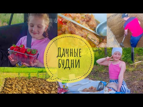 Видео: #8 Копаем яму🙈 Варю варенье из лесной клубники🍓 Посадили малину🔥 