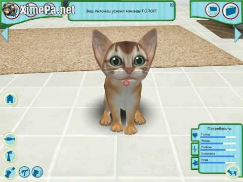 Видео: Игра Catz - первый запуск, с комментарием