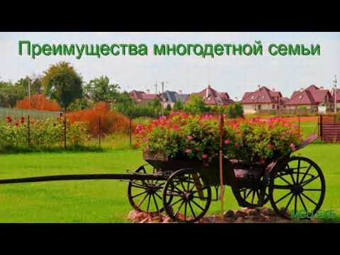 Видео: "Преимущества многодетной семьи". Д. Самарин.  МСЦ ЕХБ.
