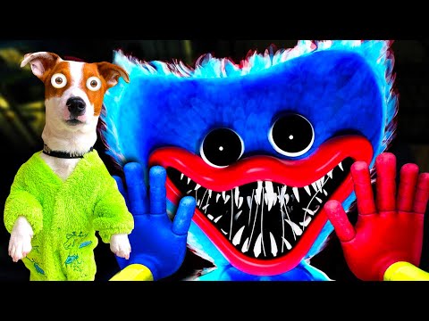 Видео: Poppy Play Time ► Баги и Приколы ► Huggy wuggy