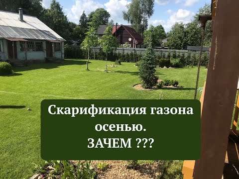Видео: Скарификация газона осенью. Зачем ???