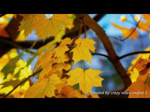 Видео: КВАТРО.  Вот и всё.