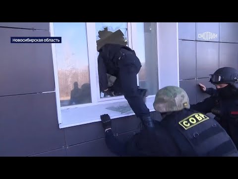 Видео: Полицейские Новосибирска раскрыли масштабную схему обмана