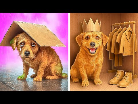 Видео: Мы спасли щенка и построили для него дом из картона 🥹🐶 Самые крутые идеи и поделки из картона