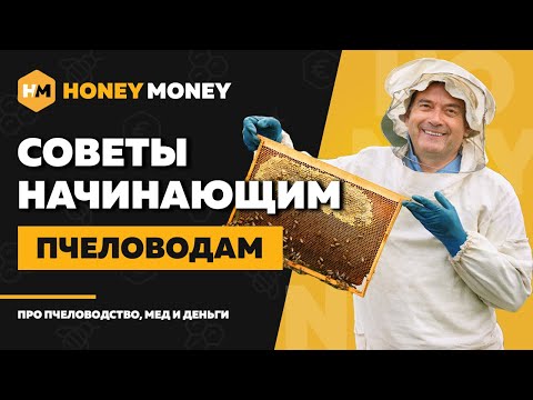 Видео: Советы начинающим пчеловодам – Измайлов, Пасечник, Йовбак