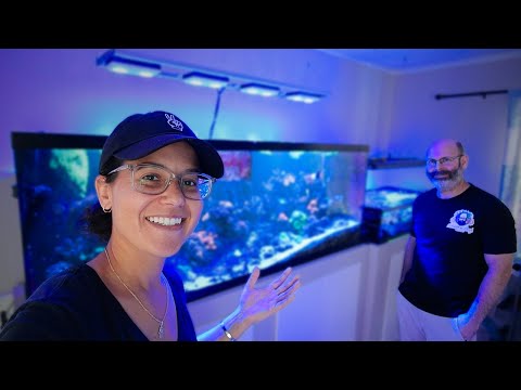 Видео: Мы не видели этот рифовый аквариум годами
