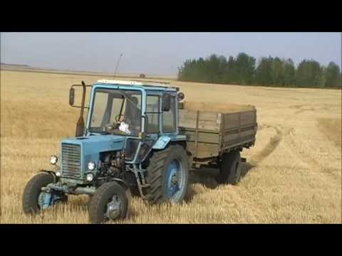 Видео: Продолжение уборочной страды! 2016г