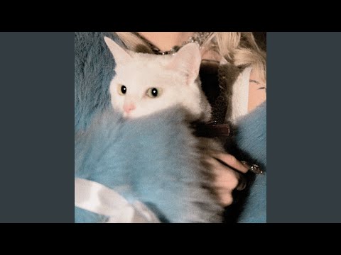 Видео: НЕ ЛЮБЛЮ