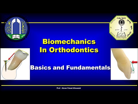 Видео: Основы биомеханики в ортодонтии