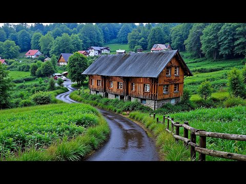 Видео: Успокаивает, восстанавливает нервную систему 🌿 Перестаньте думать, музыка для снятия стресса #3