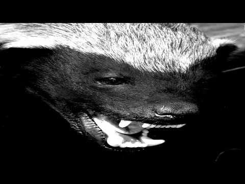 Видео: BALDBADGERZ депрессивный мыслитель