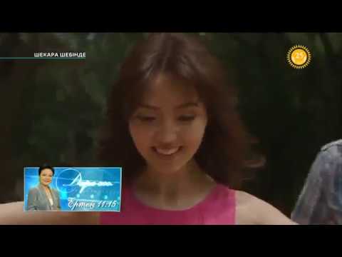 Видео: "Шекара шебінде" 10 бөлім