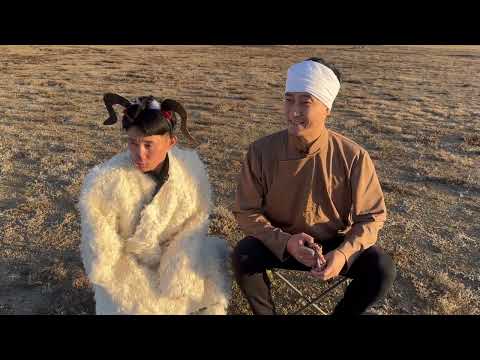 Видео: Бусдын хэрэгт бүү хошуу дүр😜🐏🐑