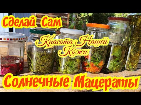 Видео: DIY: Солнечные Мацераты (Масляная Вытяжка) Для Красоты Нашей Кожи,Часть 1/Мадам Француженка