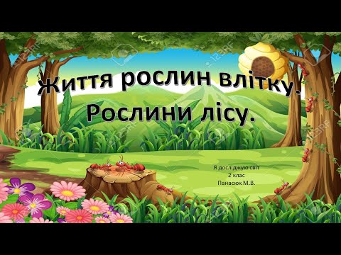 Видео: Життя рослин влітку  Рослини лісу