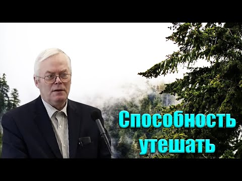 Видео: "Способность утешать" Янц Я.