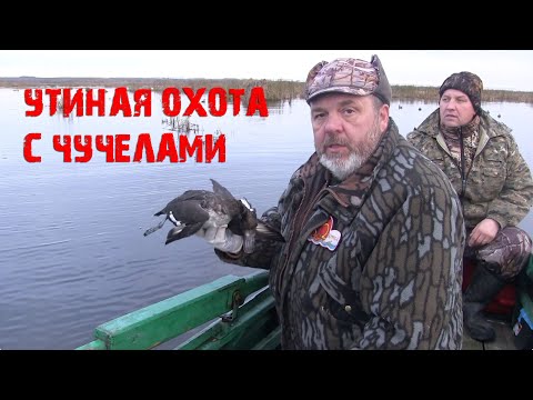 Видео: Осенняя охота на утку Валерия Кузенкова со сминаемые чучелами Softplast
