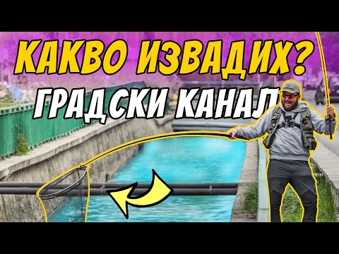 Видео: ГРАДСКИ КАНАЛ ПЪЛЕН С РИБА! РИБОЛОВ В СОФИЯ