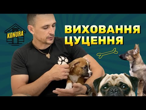 Видео: Виховання цуценя) обовʼязково к перегляду