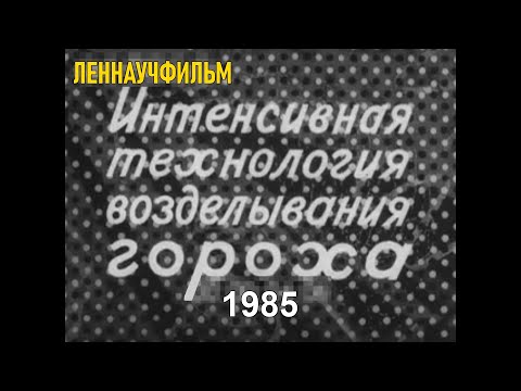 Видео: Интенсивная технология возделывания гороха