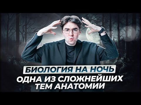 Видео: Все об иммунитете для ОГЭ | Биология на ночь
