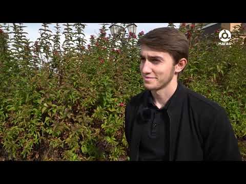 Видео: ДАВИНЧИ